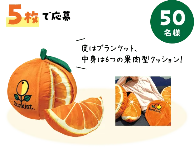 5枚で応募 サンキストオリジナルスープセット 50名様